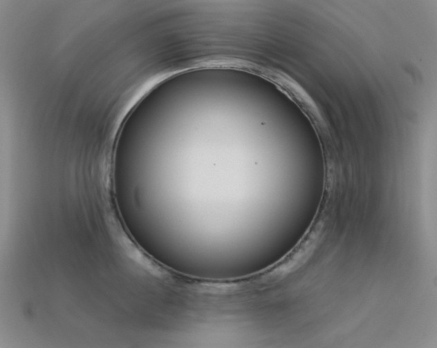 X0000113320860200909141354