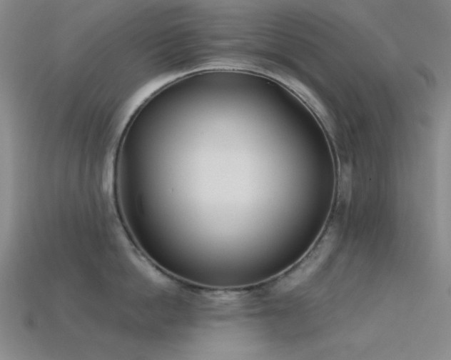 X0000113320862200909141354