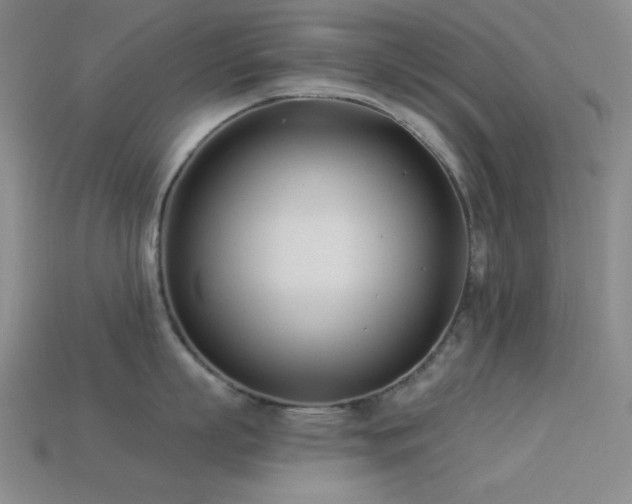 X0000113320863200909141354