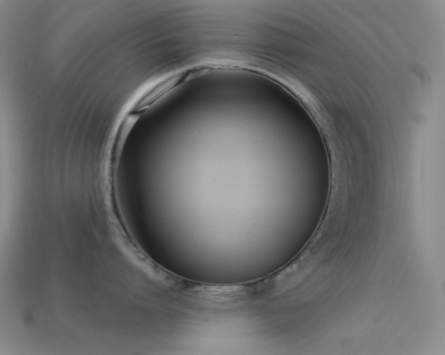 X0000113320864200909141354