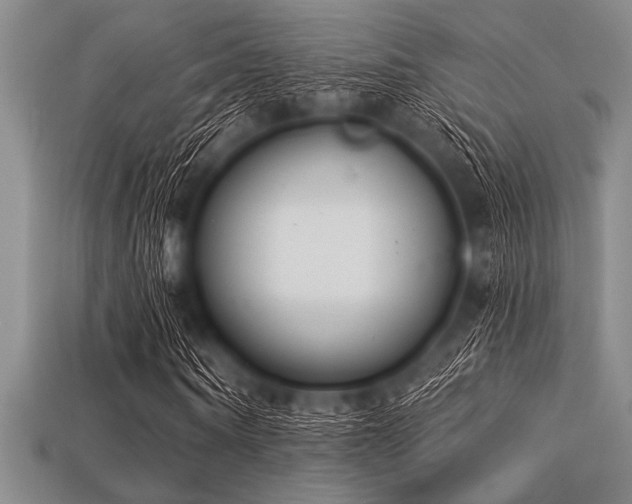 X0000113320866200909141353