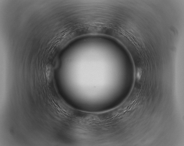 X0000113320867200909141353