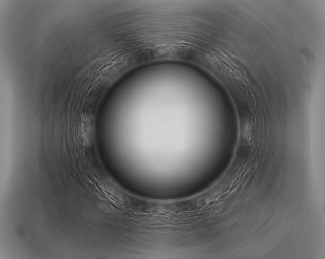 X0000113320868200909141353