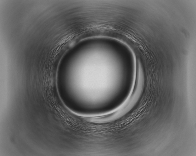 X0000113320869200909141353