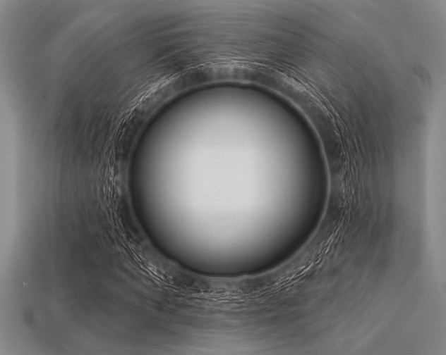 X0000113320870200909141353