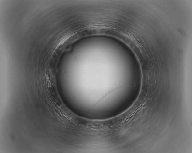 X0000113320871200909141353