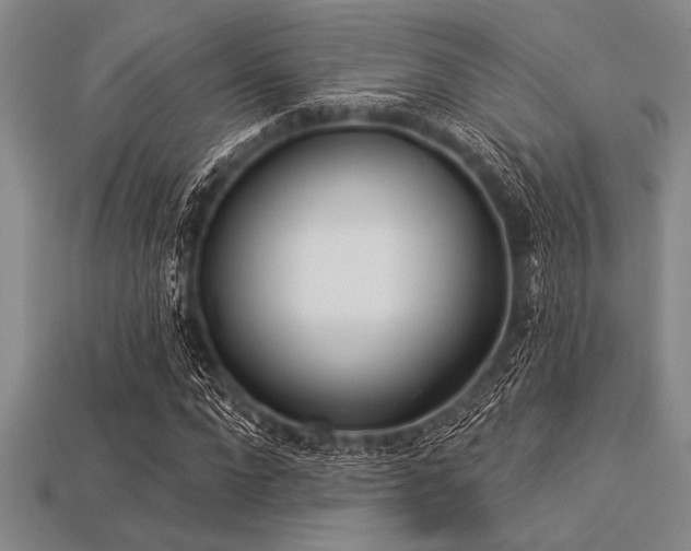 X0000113320872200909141353