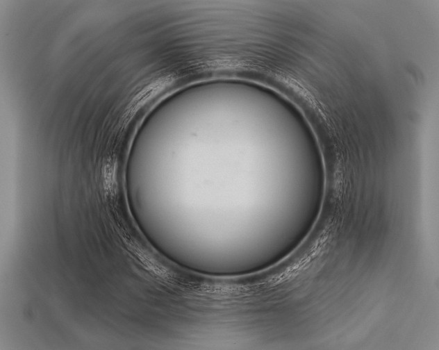 X0000113320873200909141353