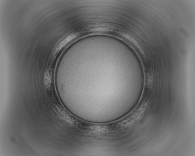 X0000113320874200909141353