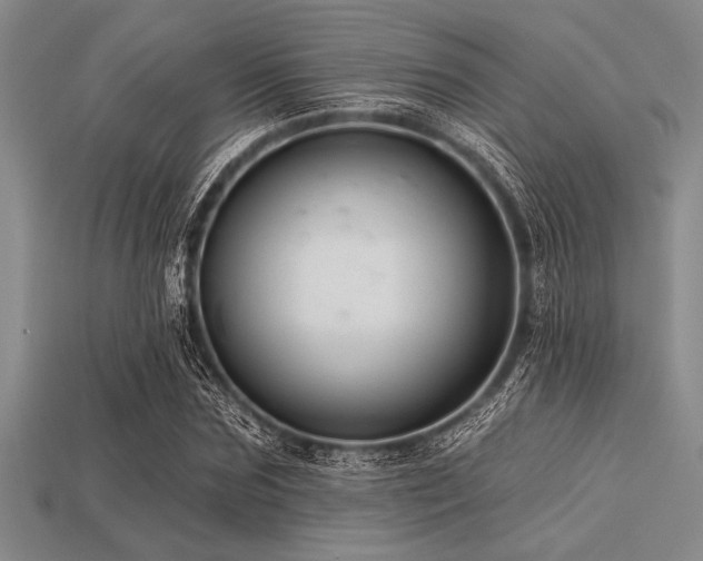 X0000113320875200909141353