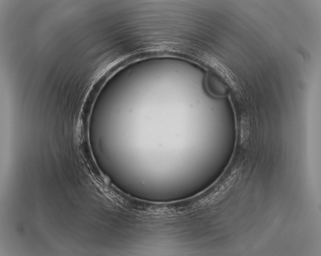 X0000113320876200909141353