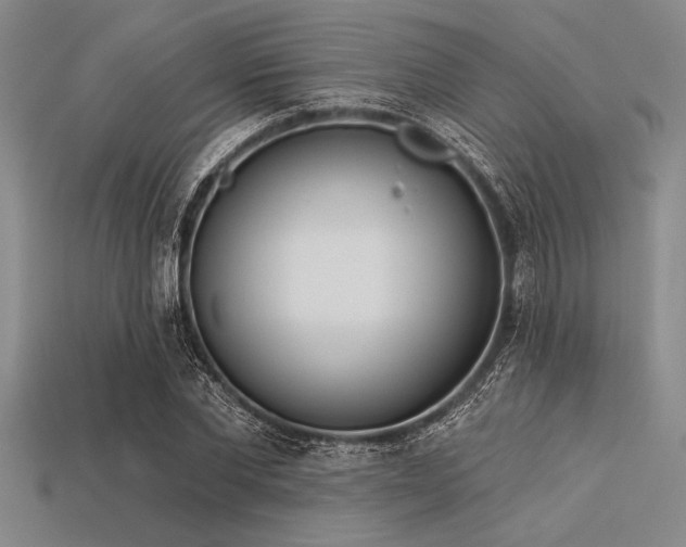 X0000113320877200909141353