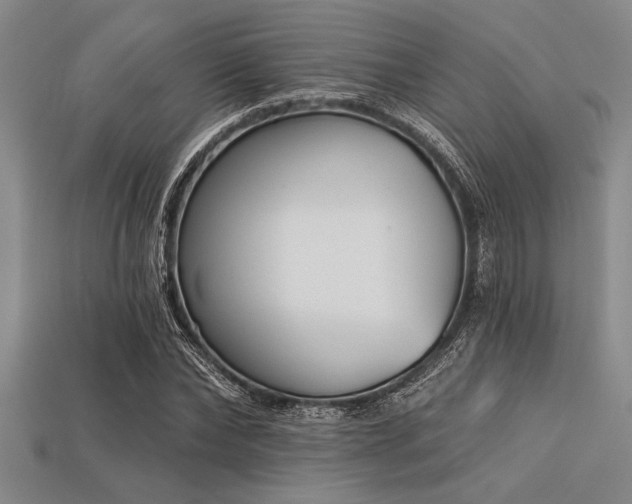 X0000113320878200909141353