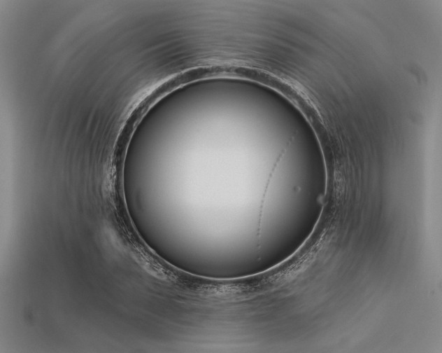 X0000113320879200909141353