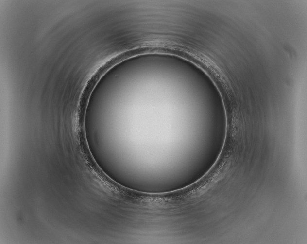 X0000113320880200909141353