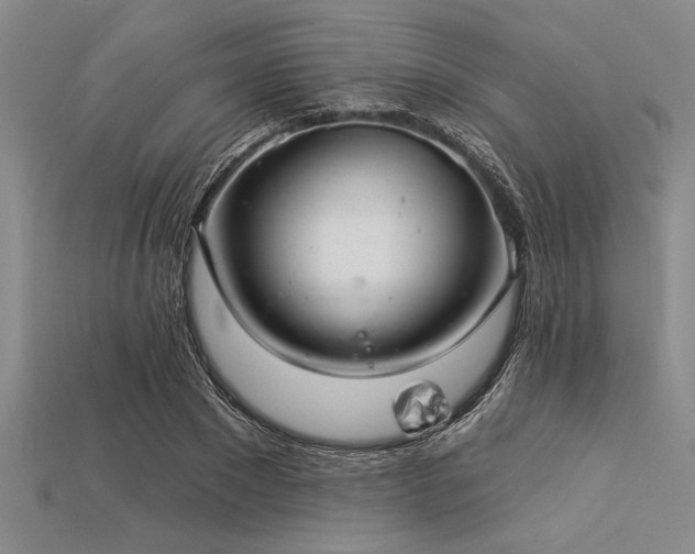 X0000113320881200909141353