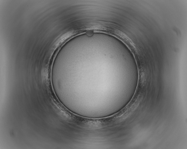 X0000113320882200909141353