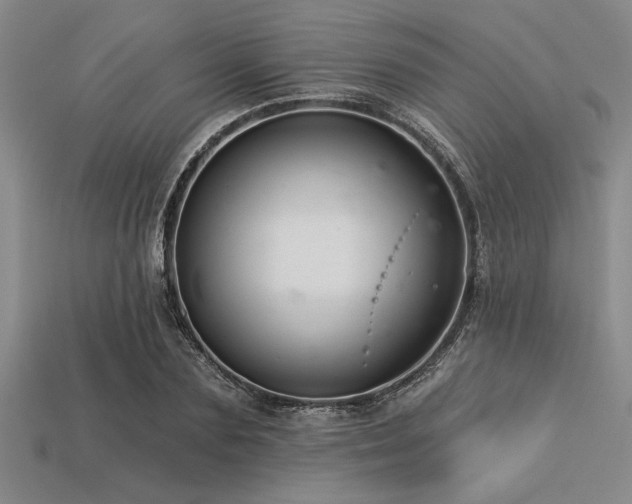 X0000113320883200909141353