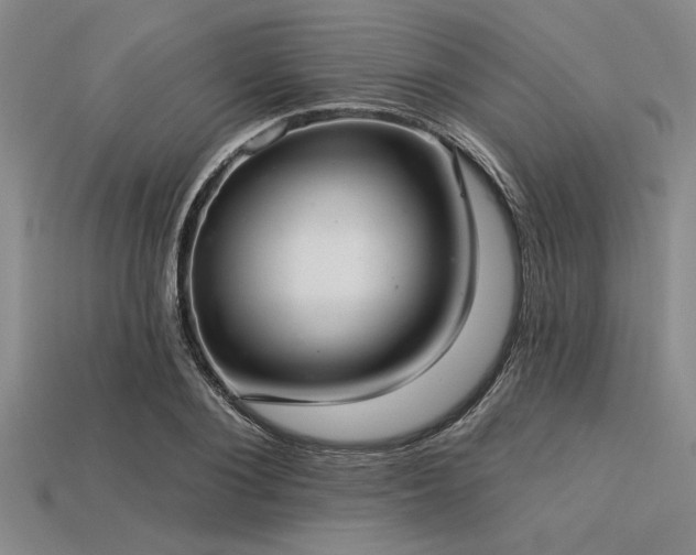 X0000113320884200909141353