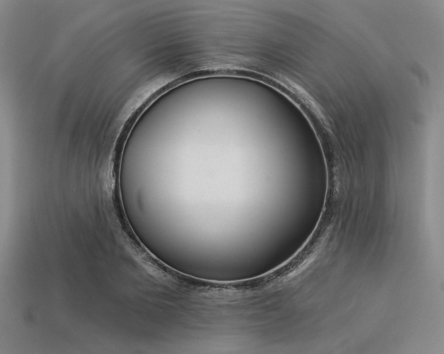 X0000113320885200909141353