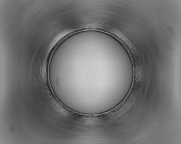 X0000113320886200909141353