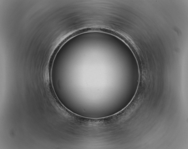 X0000113320887200909141353