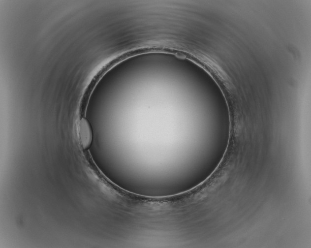 X0000113320888200909141353