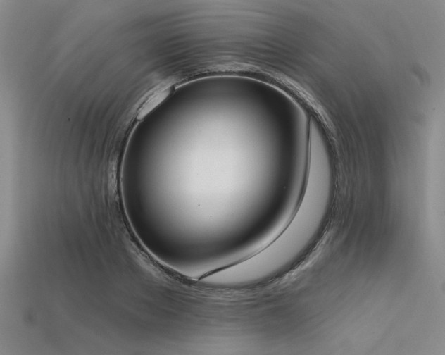 X0000113320889200909141353