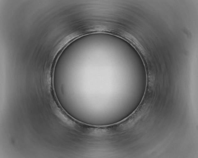 X0000113320890200909141353