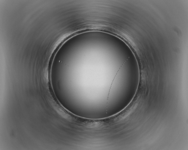 X0000113320891200909141353