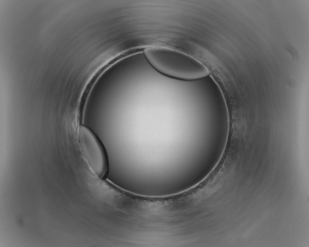 X0000113320892200909141353