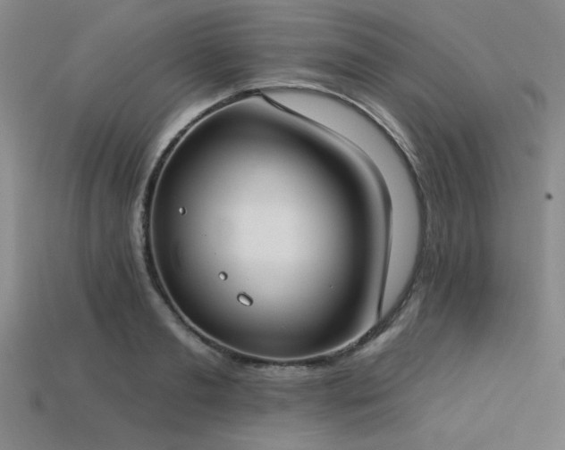 X0000113320893200909141353