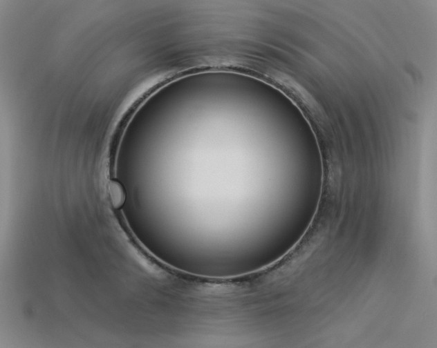 X0000113320894200909141353