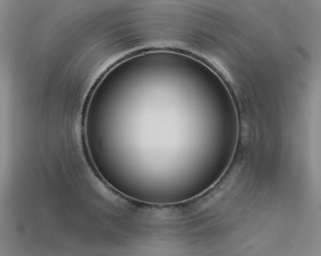 X0000113320895200909141353