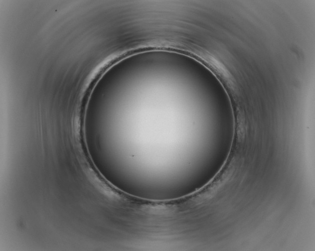 X0000113320896200909141353