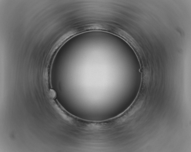 X0000113320898200909141353