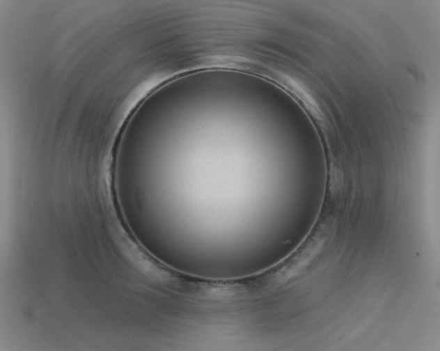 X0000113320899200909141353