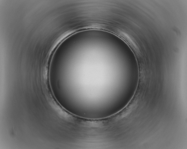 X0000113320900200909141353