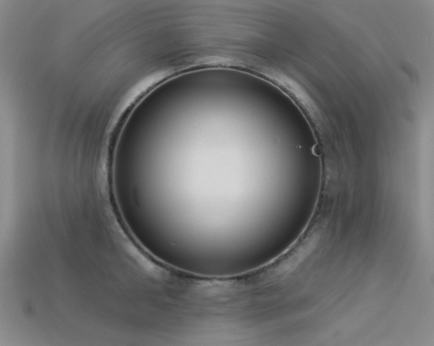 X0000113320902200909141352