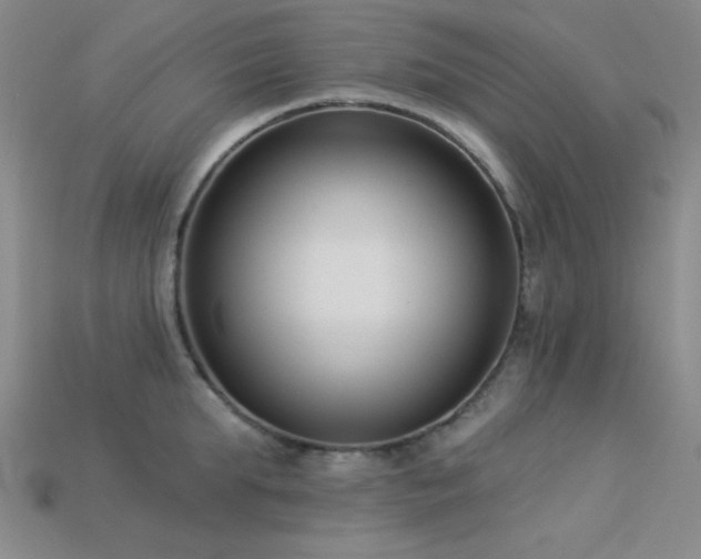 X0000113320903200909141352