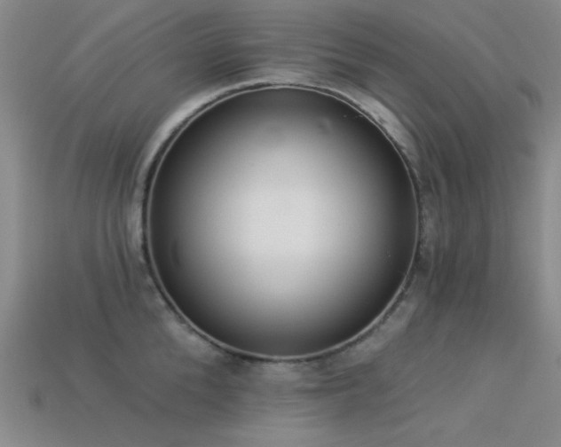 X0000113320904200909141352