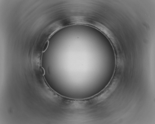 X0000113320905200909141352