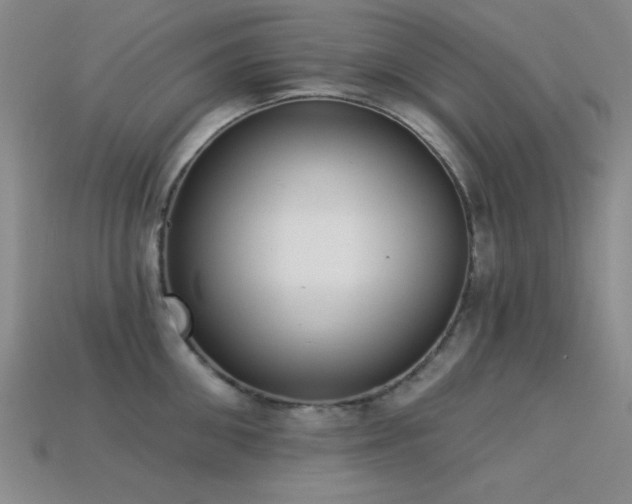 X0000113320906200909141352