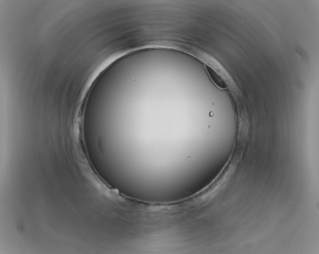 X0000113320908200909141352