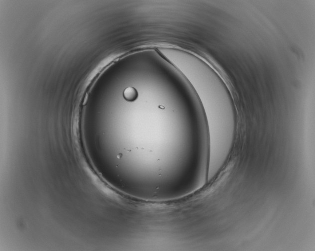 X0000113320909200909141352