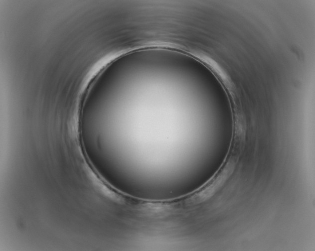 X0000113320910200909141352