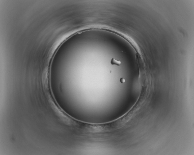 X0000113320911200909141352