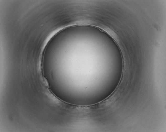 X0000113320912200909141352