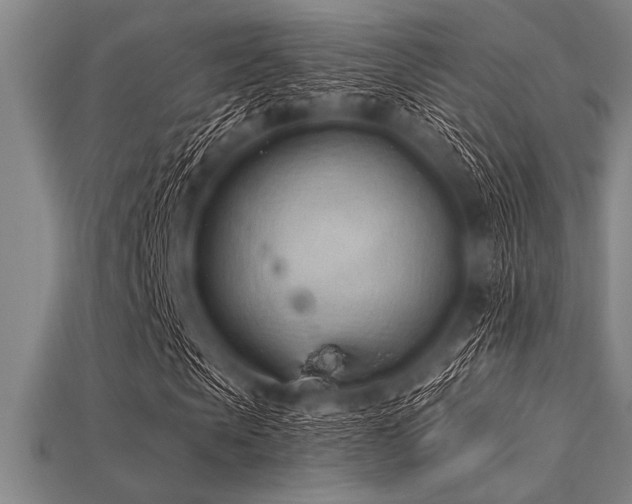 X0000113320913200909141352