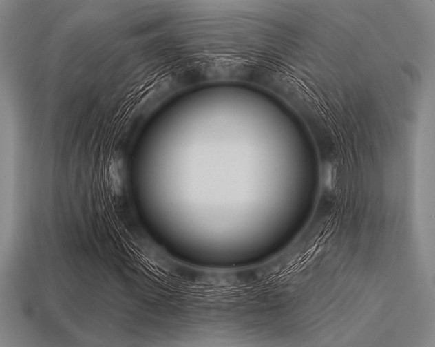 X0000113320915200909141352